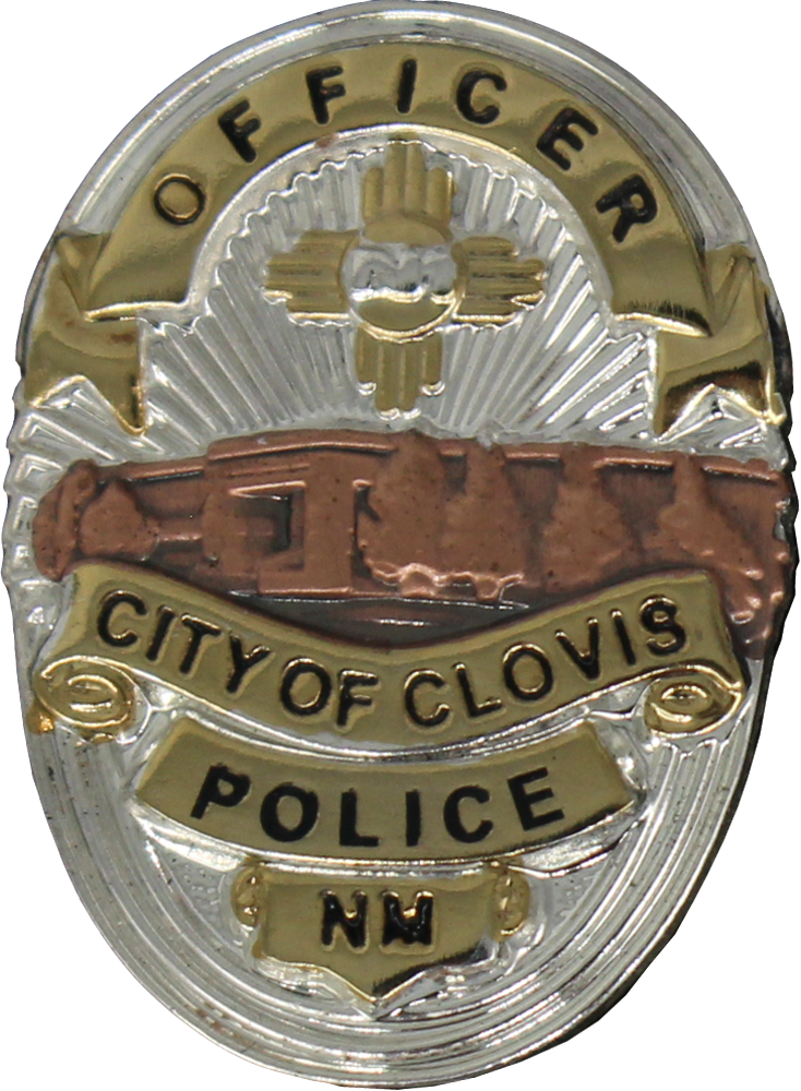 Badge Pin