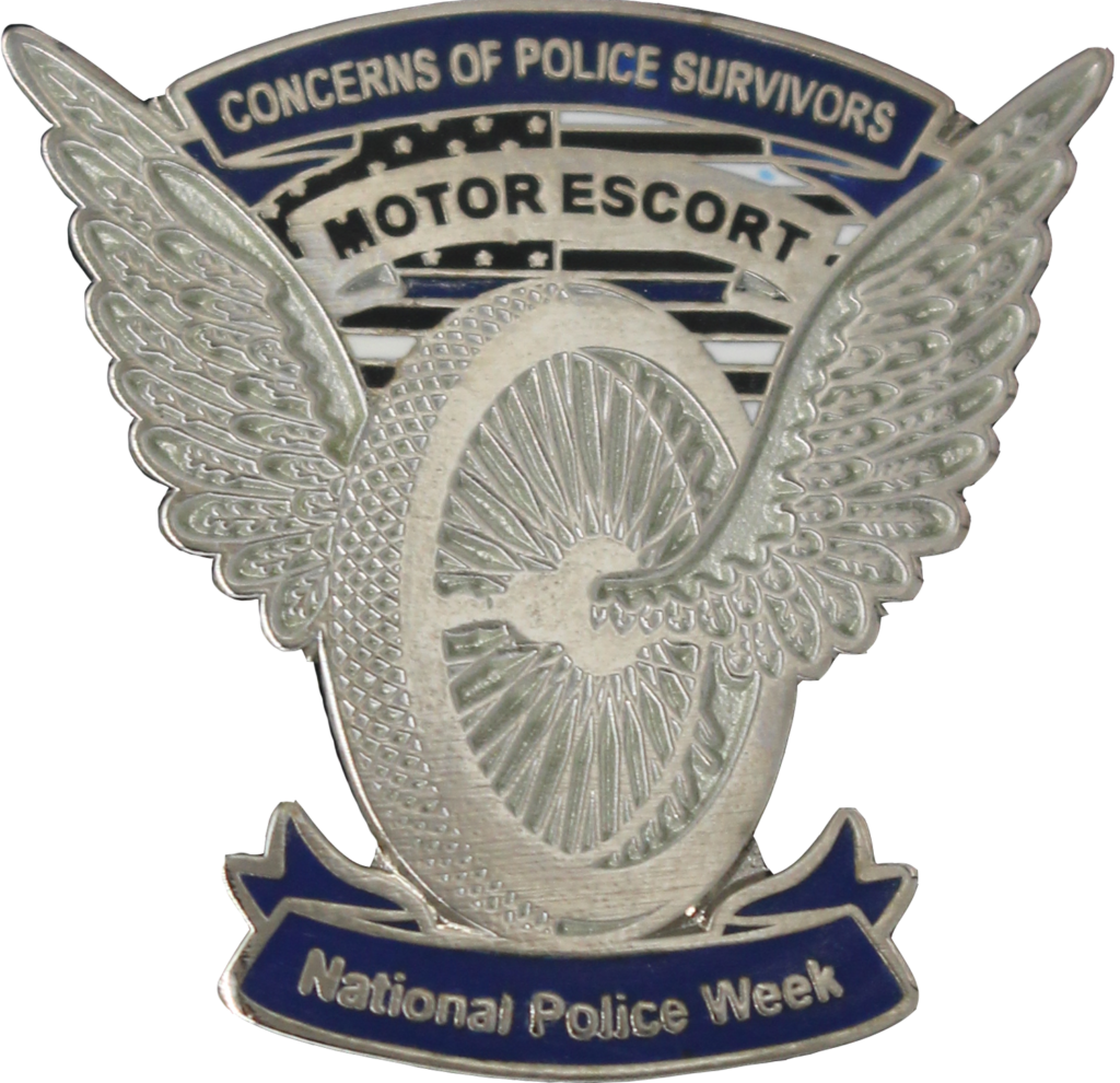 Motors Pin