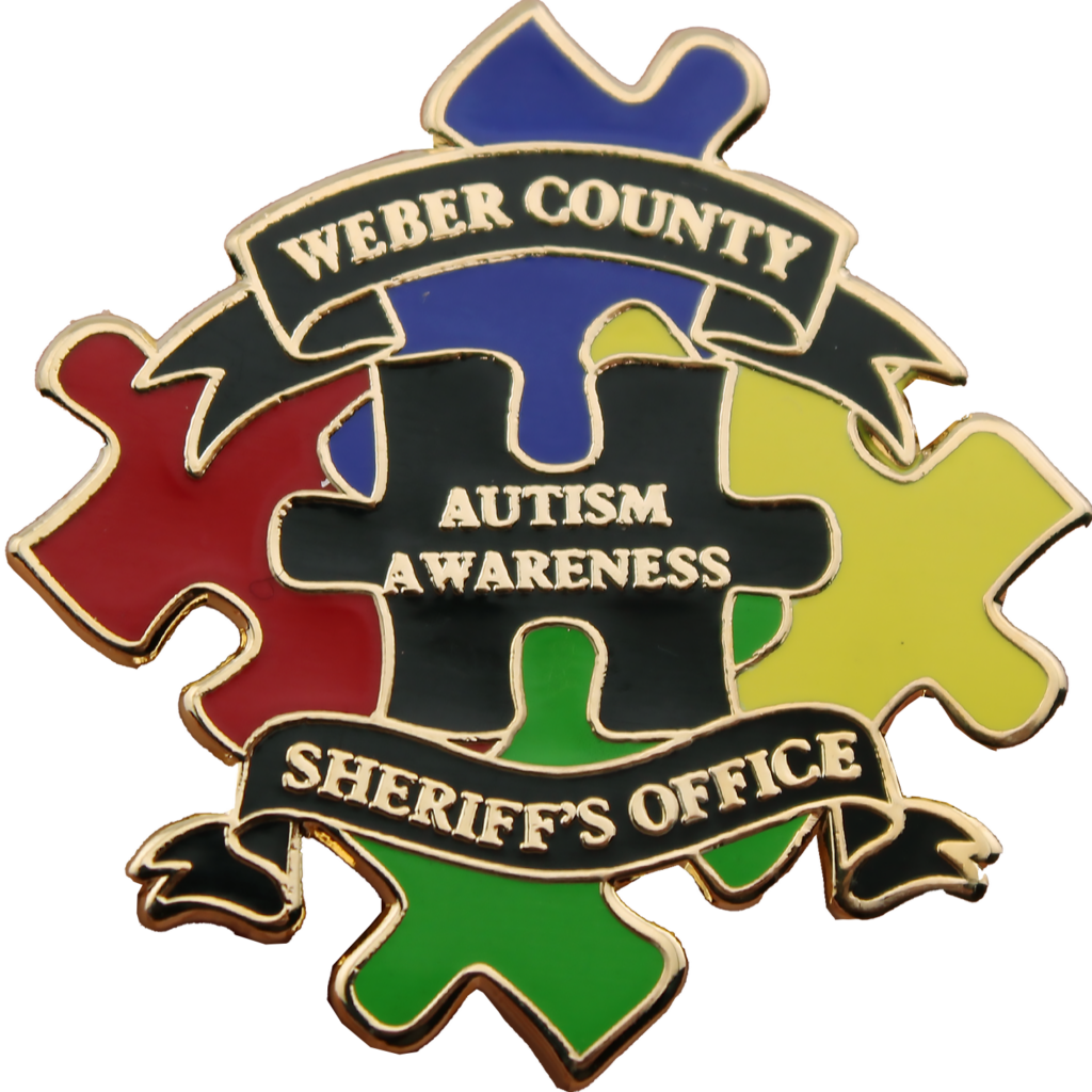 Autism Awareness Pin